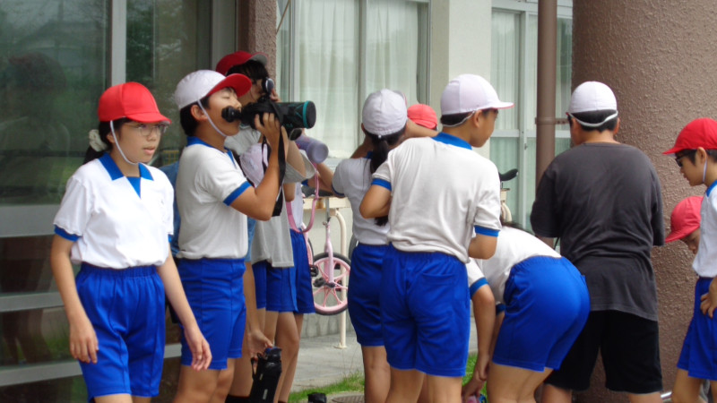 DSC07981