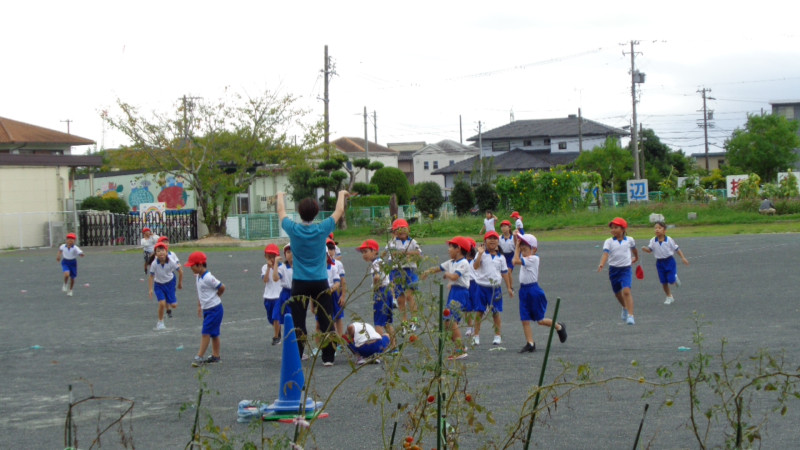 DSC08013