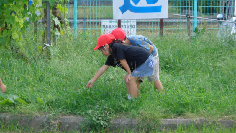 DSC08103