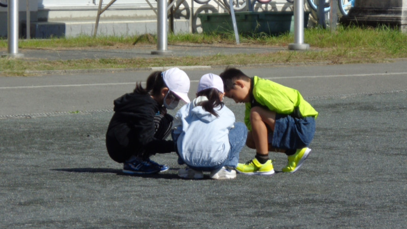 DSC00123