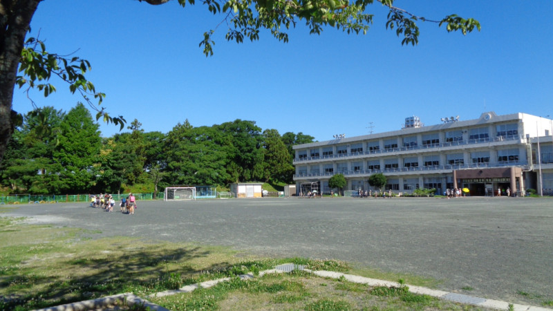 DSC00459