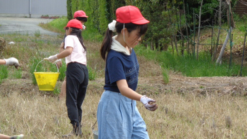DSC05416