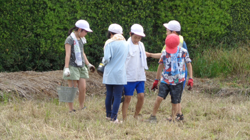 DSC05418