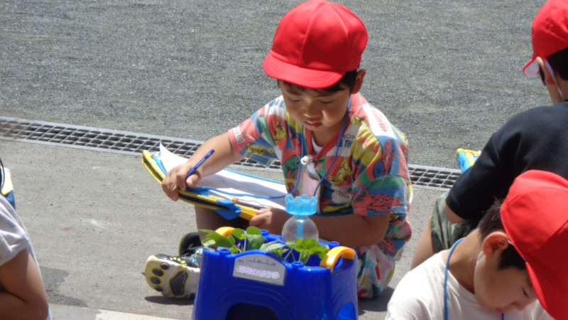DSC05660