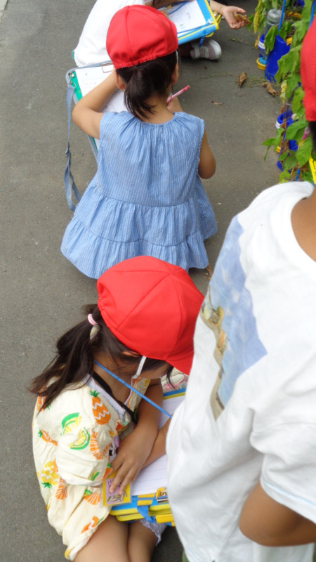 DSC06872